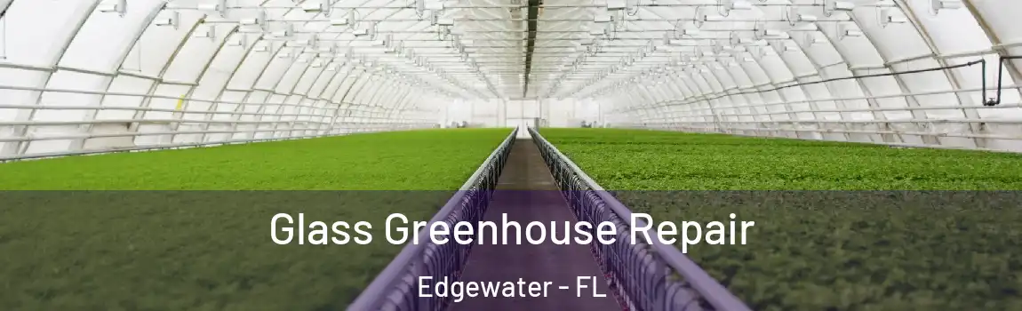  Glass Greenhouse Repair Edgewater - FL